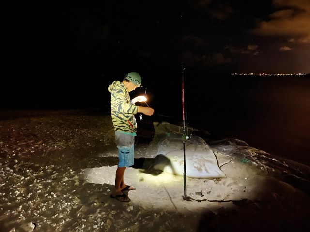 ugly stik gx2 30lb Spinning Rod Size:5/0 - 6 Pack 13 Fishing Defy Black durable tackle built to bucket mounts