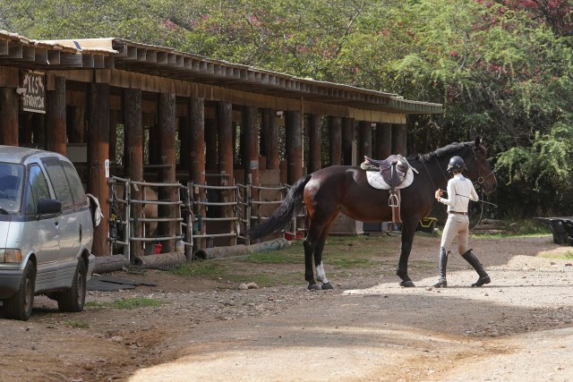 Koko Crater Stables.