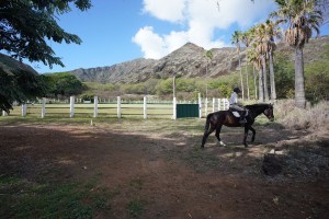 Koko Crater Stables. Lady declined to be identified.