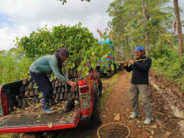 Philippines Filipino Bukidnon Mindanao Songco Village Talaandig Tree Planting Reforestation Agroforestry Flute Playing