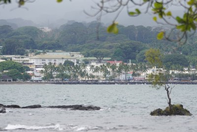 Hilo Councilwoman Sue Lee Loy Is Hoping To Move Up To The Legislature