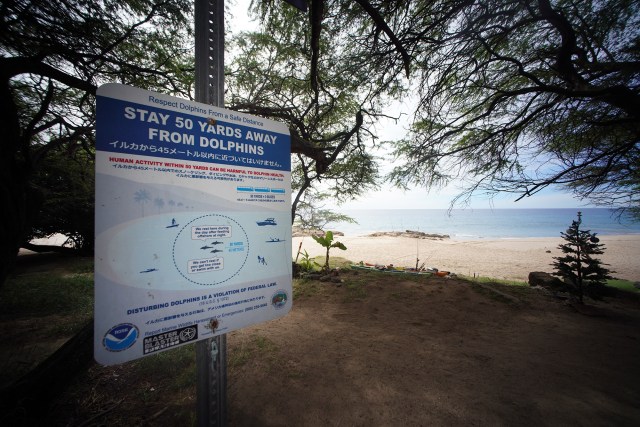 Sign located at Makua Beach Park warning swimmers about staying 50-yards away from dolphins offshore.