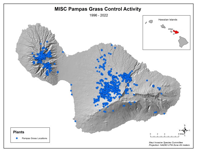 The Maui Invasive Species Committee surveys 1,000 acres by ground and 15,000 acres by air.