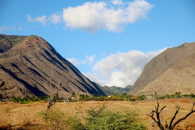 The State Just Cracked Down On This West Maui Water Company