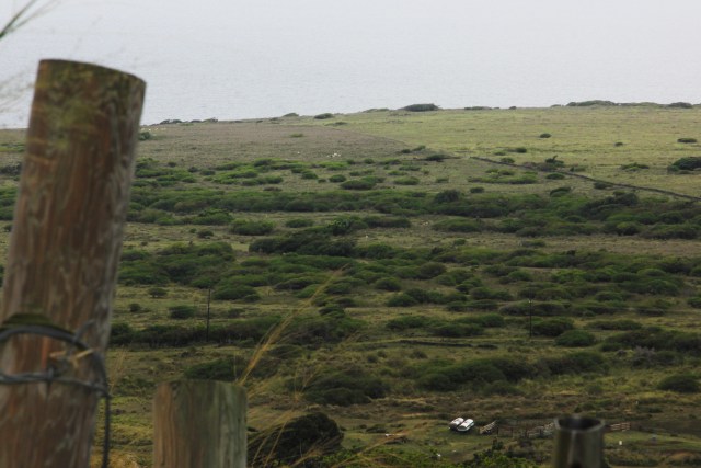 An image of Kuahiwi Ranch from the hills looking towards the southern coast of Big Island, where it is evidently less green