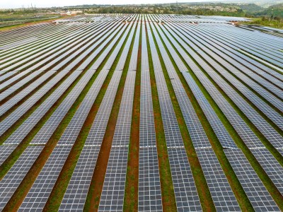 Renewable Energy Projects Are Back On Track After Pandemic Lull