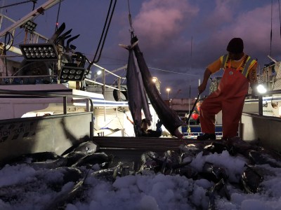 Wespac Stacks Seats With Fishing Industry Players As Marine Protections Erode