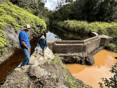 Opponents Of Kauai Hydro Plan Drop Lawsuit But Project Is Still In Limbo