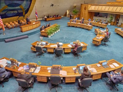 Gun Rules, Fate Of HTA Among Bills Headed To Closed-Door Committees