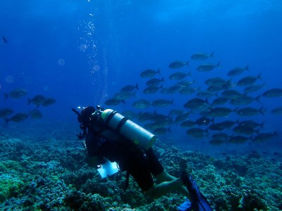‘Reduce The Human Footprint At Molokini’: New Study Examines Tourism’s Impact