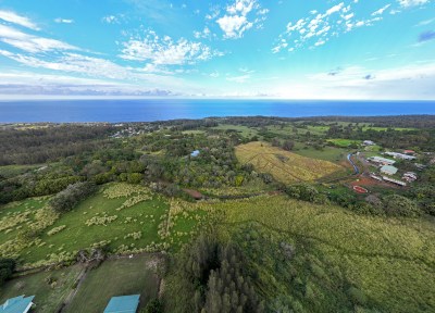 Matthew Leonard: How The Hamakua Burn Of 1901 Started Hawaii’s Fire Clock