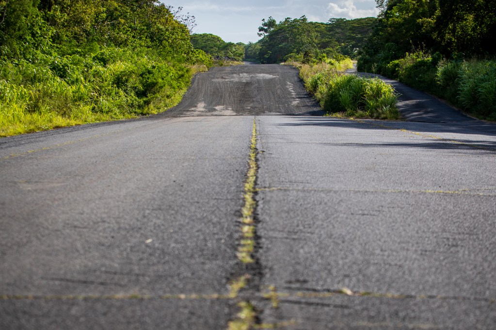 Council District 5 Candidates Want to Build A More Resilient Puna