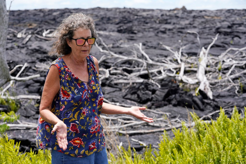 Sara Steiner critic Puna Geothermal Venture plant Puna District Big Island energy alternative PGV power igneous rock