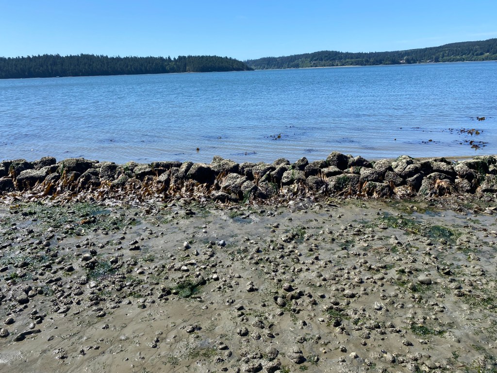 Salish Summit Hawaii Sea Grant clam garden Cat Column