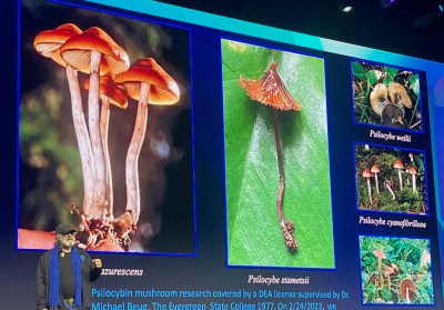 The Psychedelic Renaissance Is Here