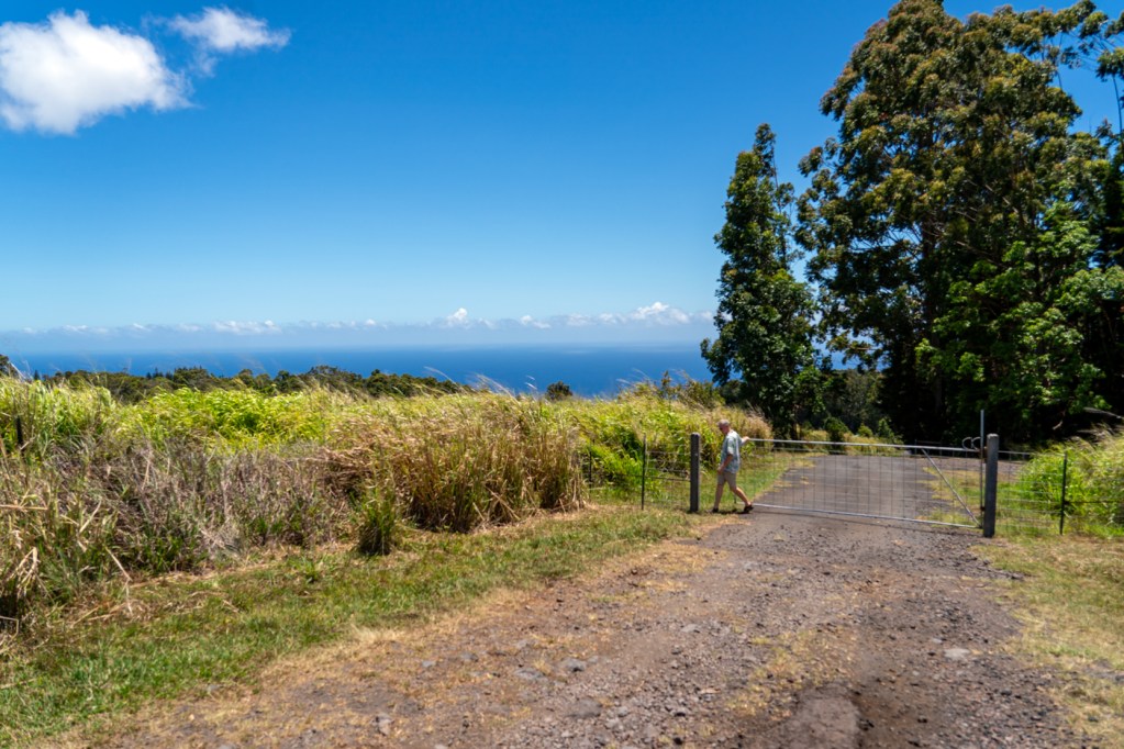Laupahoehoe community members are frustrated by the recent installation of two gates blocking a road long used for hiking, hunting and public enjoyment. (Nathan Eagle/Civil Beat/2023)