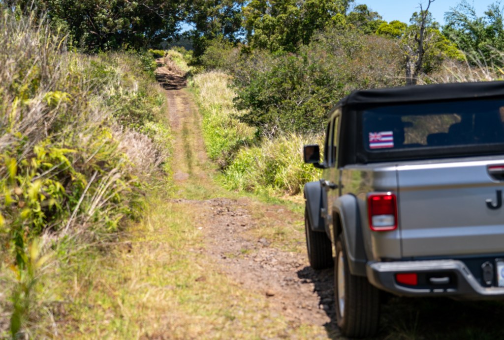 Laupahoehoe community members are frustrated by the recent installation of two gates blocking a road long used for hiking, hunting and public enjoyment. (Nathan Eagle/Civil Beat/2023)