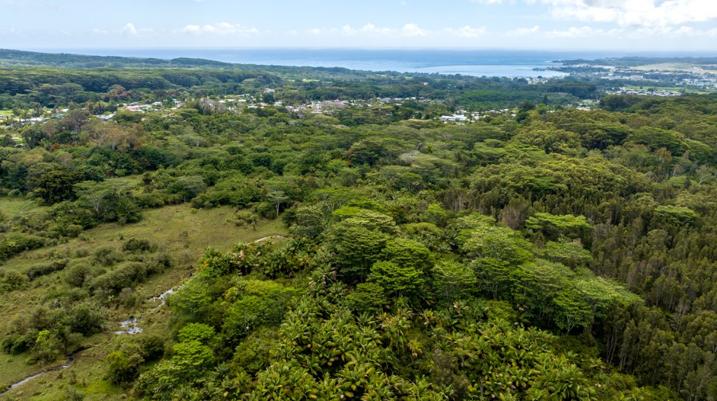 The Marshall Islands used the Bikini Resettlement Trust Fund to buy 283 acres near Hilo on Hawaii island. (Nathan Eagle/Civil Beat/2023)