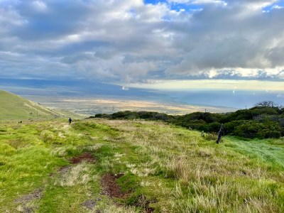Naka Nathaniel: What We Can Learn From The Way Koaiʻa Trees Support Each Other