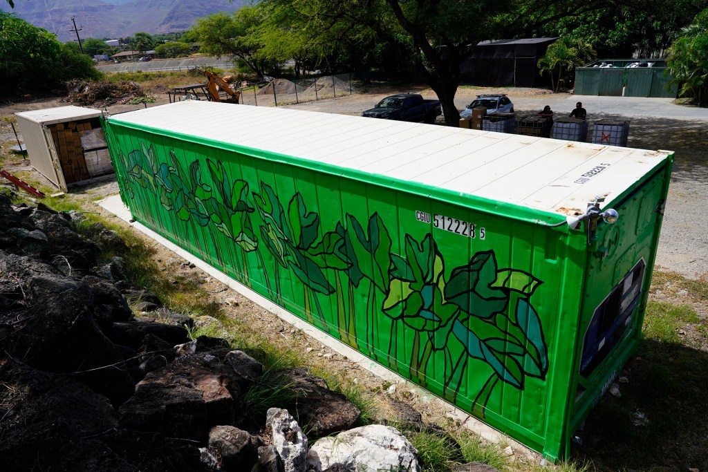 Food pods Alicia Higa Director Health Promotion Waianae Coast Comprehensive Health Center WCCHC emergency use meals MRE freeze dried dehydrated Artist Solomonenos