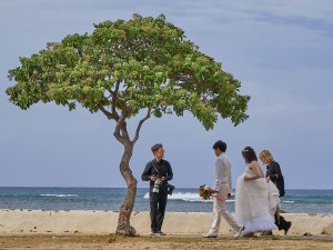 An Asian couple dressed in Wedding attire are escorted by a wedding planner and their photographer to locations on Ala Moana Beach