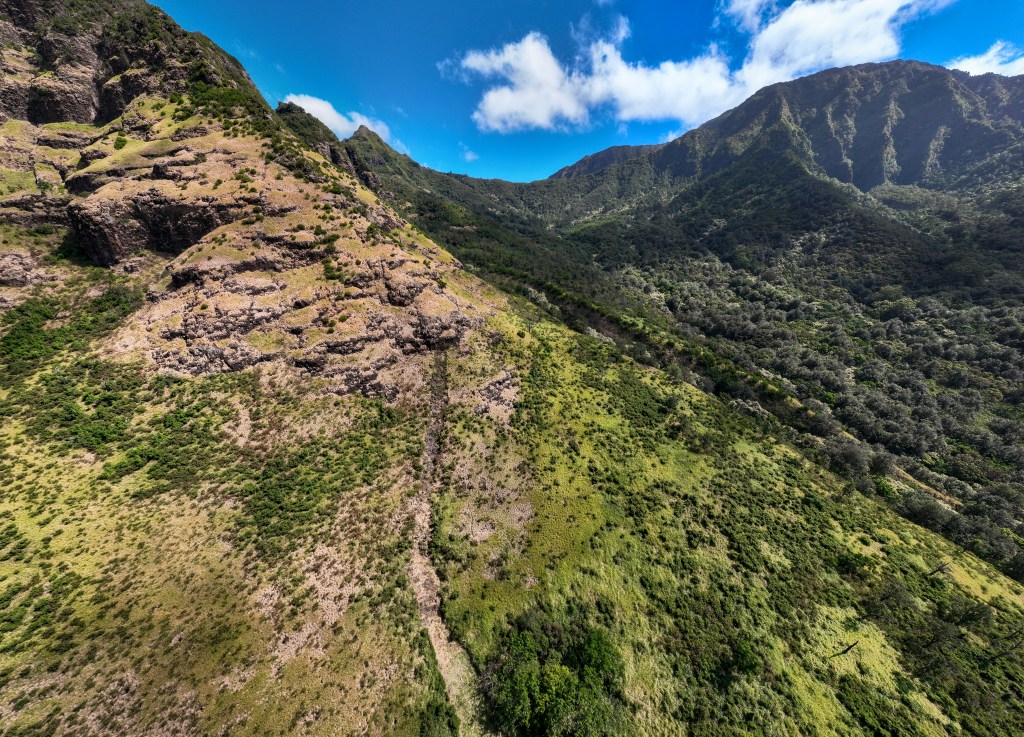 A fire break runs up the Waianae mountains. (Nathan Eagle/Civil Beat/2023)
