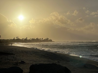 The Sunshine Blog: Now We’re Shining A Light On Maui, Too