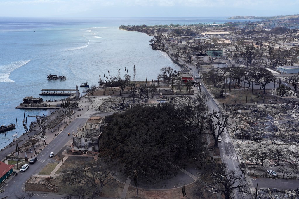 Lahaina Banyan Court and the destroyed Lahania town are photographed Thursday, Aug. 10, 2023, in Maui. (Kevin Fujii/Civil Beat/2023)