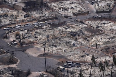Maui Wildfire Lawyers Try To ‘Manage The Unmanageable’
