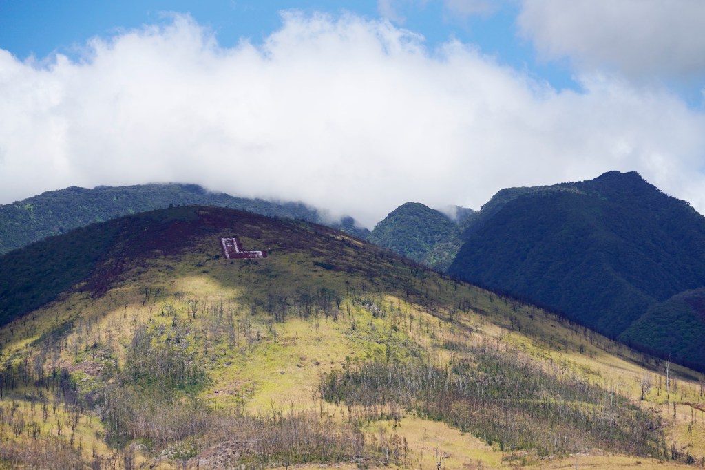This area mauka of the Lahaina Bypass shows a wildfire burn area near the HECO power station Sunday, Aug. 13, 2023, in Lahaina. A large fire consumed areas of West Maui last week. Utilities have not been fully restored.  (Kevin Fujii/Civil Beat/2023)