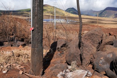 Maui County Blames HECO For Fires In Latest Lawsuit Against Utility