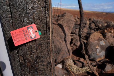 US House Sets First Hearing On HECO’s Role In Deadly Wildfires