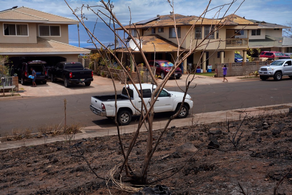 Last week’s wildfire surrounded this Lahainaluna neighborhood, but many homes escaped with minor damage, photographed here on Wednesday, Aug. 16, 2023, in Lahaina. The residents of the home on the left, saved the house on the right with multiple shovels of sand and dirt to extinguish a fire on the stairs inside their neighbor’s house. The historic town of Lahaina makai of this photograph wasn’t so lucky. (Kevin Fujii/Civil Beat/2023)