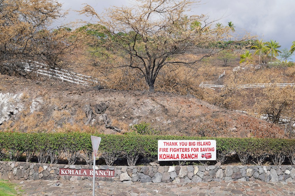 This image has an empty alt attribute; its file name is 230821-th-Wildfires-Hawaii-9190-1024x683.jpg