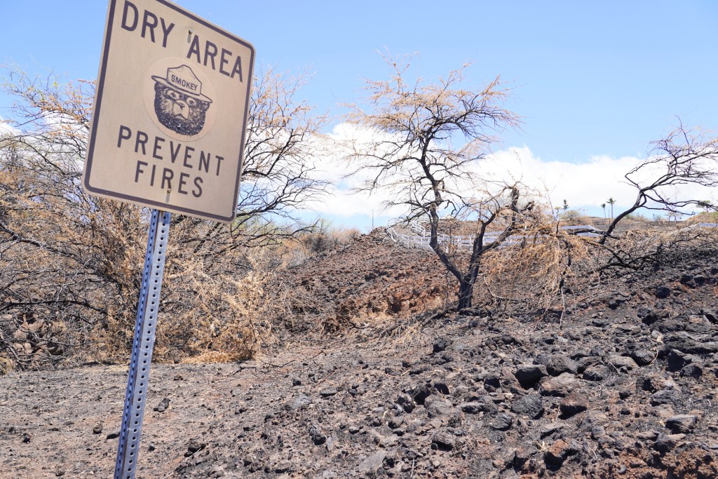 This image has an empty alt attribute; its file name is 230821-th-Wildfires-Hawaii-9386-1024x683.jpg