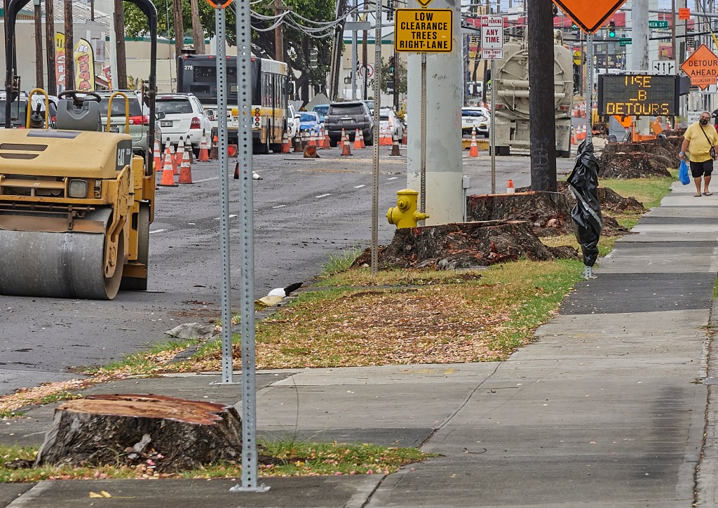 Tree stumps along Dillingham Blvd.