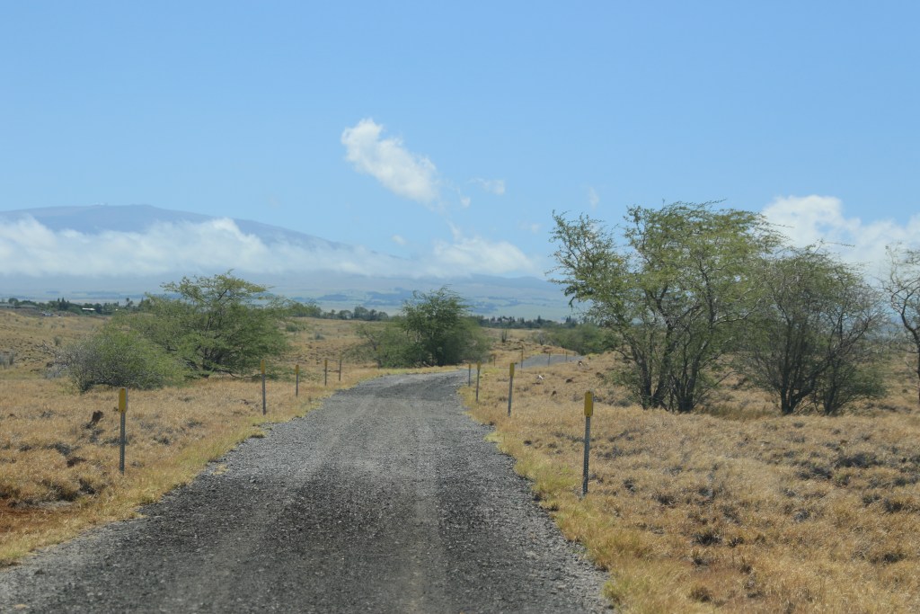 Another Road Won’t Help Waikōloa In A Wildfire Evacuation, Study Finds