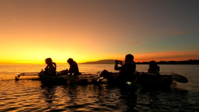 Maui Businesses Plead With Tourists To Help Economy After Fires