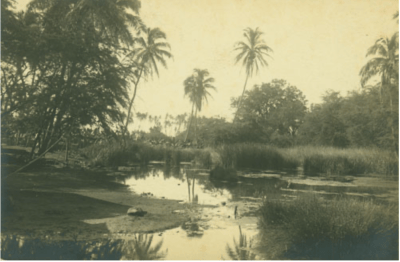 Mokuula Mokuʻula Lahaina Maui fires pond Denby Fawcett column