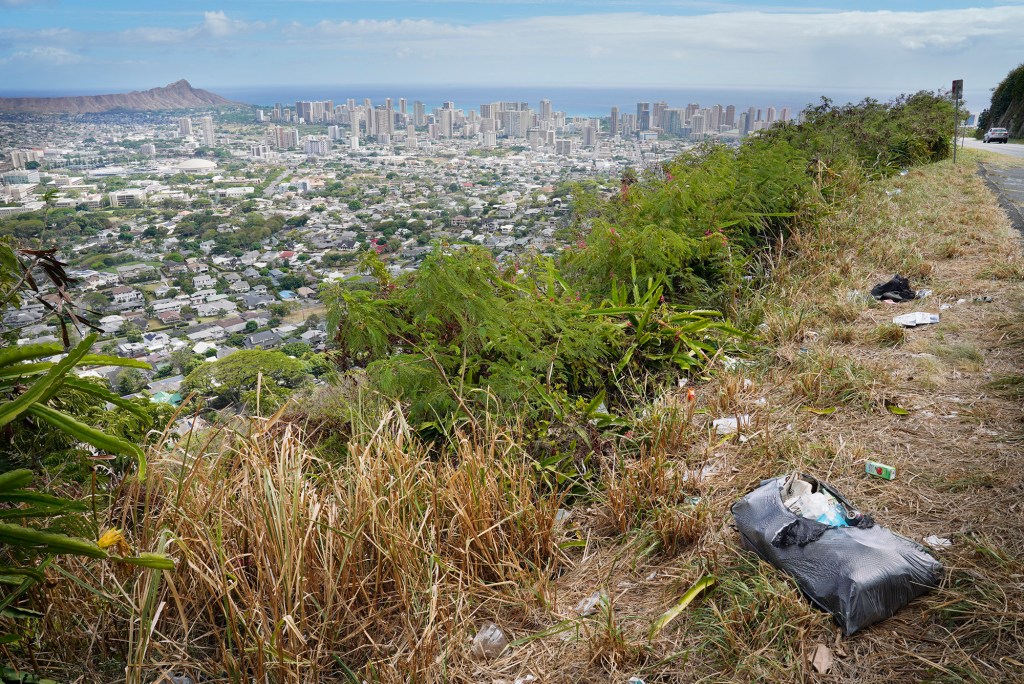 Tall, dry vegetation grows along Round Top Drive Sept. 13, 2023, in Honolulu. Residents concern is on the rise after a wildfire destroyed Maui’s historic town of Lahaina on Aug. 8. (Kevin Fujii/Civil Beat/2023)