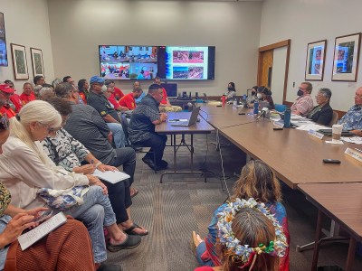 Maui Activists Urge Return Of DLNR Water Official To Former Job