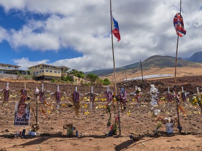 Now We Know: The Need For Legislative Reform Can Be A Matter Of Life And Death