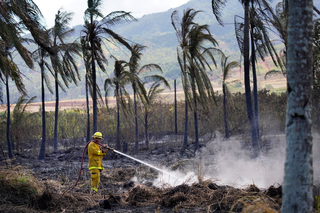 The Honolulu Fire Department works on putting out a fire Monday, Sept. 25, 2023, at Dillingham Ranch in Mokuleia. (Kevin Fujii/Civil Beat/2023)