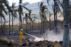 The Honolulu Fire Department works on putting out a fire Monday, Sept. 25, 2023, at Dillingham Ranch in Mokuleia. (Kevin Fujii/Civil Beat/2023)