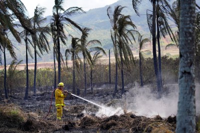 Should Honolulu’s Emergency Management Chief Need Minimum Qualifications?
