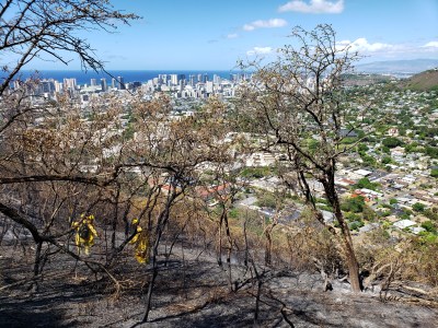 Federal Wildfire Grant Opportunities Open For Hawaii