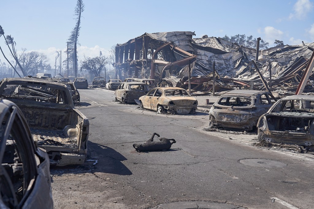 Civil Beat journalists were among the first people to enter Lahaina the day after the fire. (Ku'u Kauanoe/Civil Beat/2023)