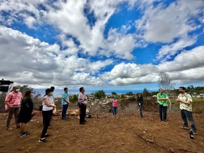 Feds Want To Plant Invasive Grasses To Control Soil After Maui Fires