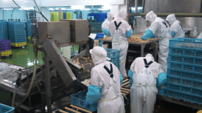 Japan’s Seafood Producers Are Feeling The Economic Fallout Of China’s Ban On Imports