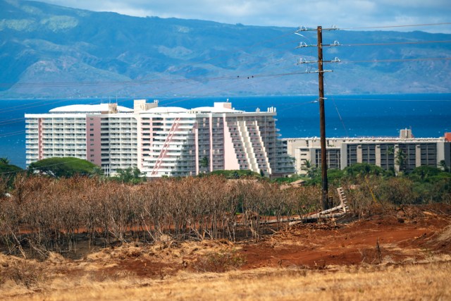 Hawaiian Electric is working to restore power to hundreds of customers after the Aug. 8 wildfires in Lahaina and Upcountry Maui. (Nathan Eagle/Civil Beat/2023)
